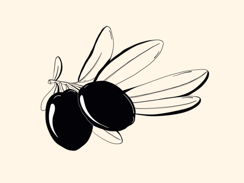 illustration d'olives noires