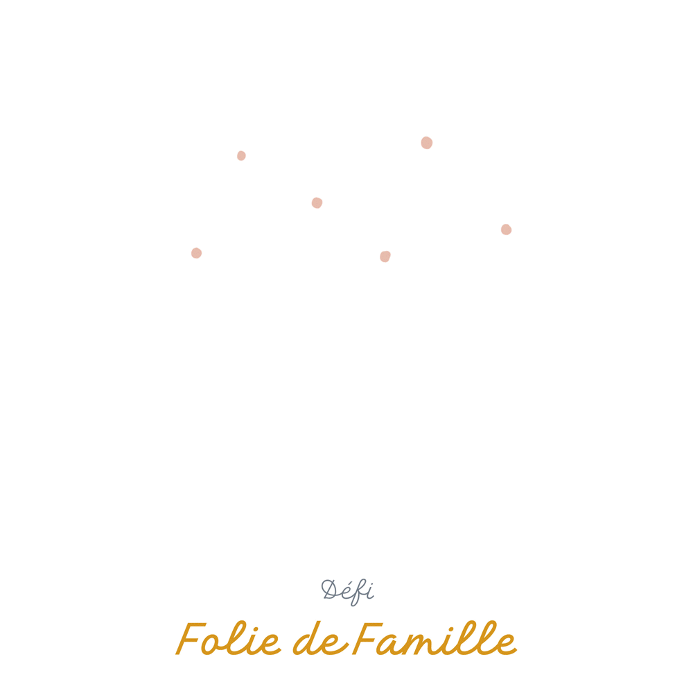 Défi Folie de Famille, édition 2018
